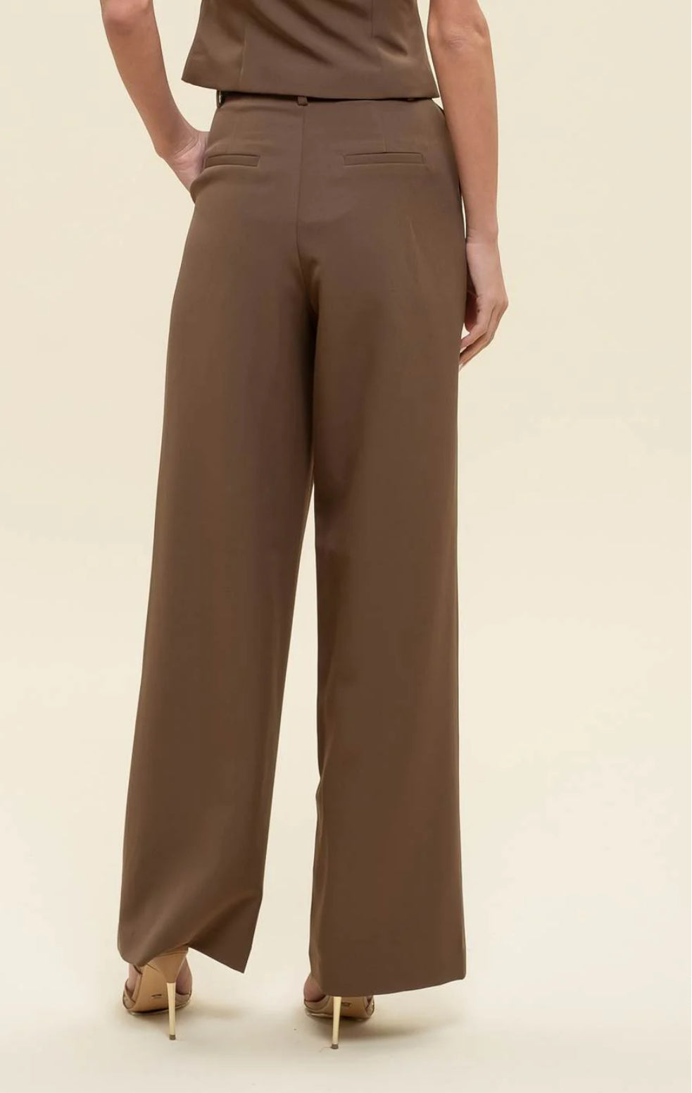 BROWN PLEATED WIDE LEG DRESS PANTS