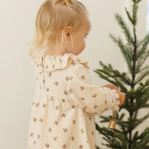 Velour Baby Dress || Holly Berry