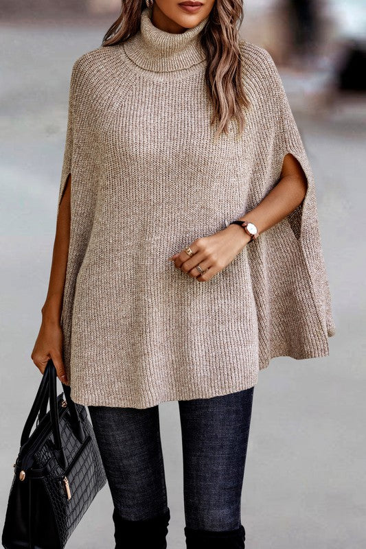 Beige Roll Neck Knit Solid Lose Fit