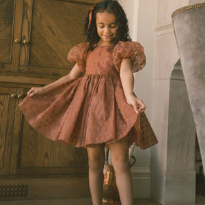 SOFIA DRESS SPICE FLORAL
