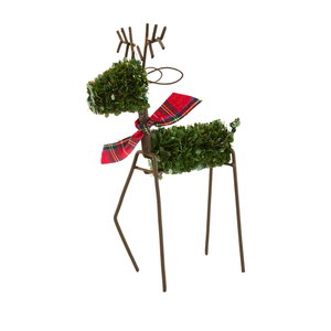 BOXWOOD REINDEER, 2 sizes